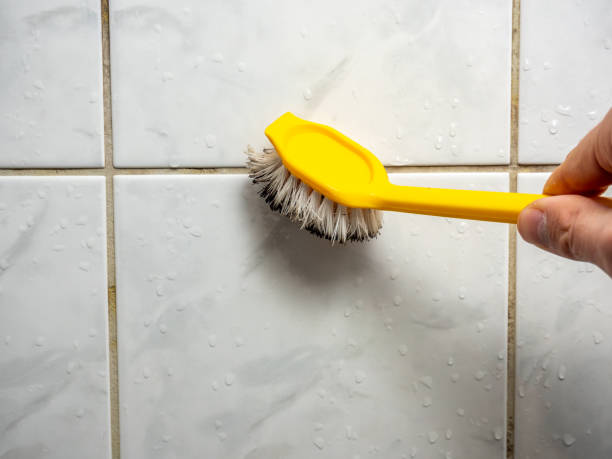 Professional Mold Remediation in Morris, MN